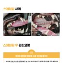 카이저 동물병원 이미지