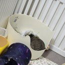 와바 | 제 1회 와바미페어 참여후기!