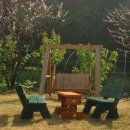 새이모퉁이 이미지