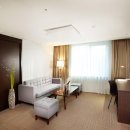 푸르미르 이미지