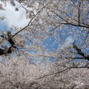 유신종합상가 이미지