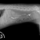 종합동물병원 이미지