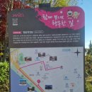 망원정마당 공중화장실 이미지