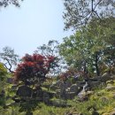 명장시대 포천점 방문 후기 – 자연 속 베이커리 카페의 여유