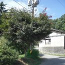 홍계희 묘 이미지