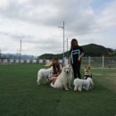 쪼꼬네유치원2 네이버블로그