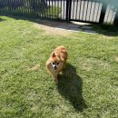 아트파크 화장실 이미지