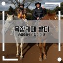 부부목장 | 제주 목장카페 밭디 | 밭디마켓 구경/ 22개월 아이랑 첫 승마체험 후기