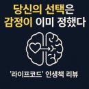 한스안경이야기 | 당신의 선택은 감정이 이미 정했다 – 『라이프코드』 인생책 리뷰