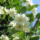 24시안마원 이미지