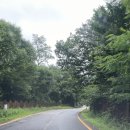 오아시스(주) | 두번째, 일상 포토덤프 [초록초록한 일상]