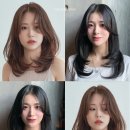 청화미용실 네이버블로그