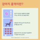 진리동물병원