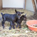 모정농장 이미지