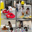 행복한 나라찬 태권도장 이미지