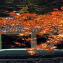 꽃보다아름다운당신 이미지