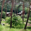 안면도자연휴양림 이미지