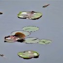 서오지리 이미지