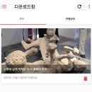 비안세탁소 | 2주 여행 🇮🇹 폼페이, 가이드 없이 오디오 가이드로 셀프 투어 후기(+폼페이 티켓 구매 및 셔틀 타는 방법)