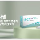 서울청담닥터아나파의원 이미지