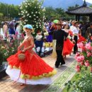 곡성세계장미축제장 이미지