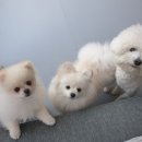 마인드몽 유치원 이미지