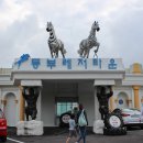 제주도관광지 제주승마체험 동부레저타운(동부초콜릿체험장)