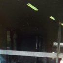 한대앞역공인중개사사무소 이미지