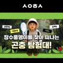 선암호수태권도 | 아이들의 손에 스마트폰 대신 손전등이 들렸습니다! 울산 대현동 선암호수태권도 곤충탐험대 후기
