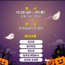 호계공설시장 | [축제]경남 울산 북구 호계 먹거리 볼거리 데이트 추천 맥주 무제한 호라카이 야시장