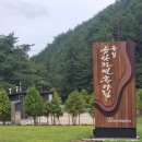 운일암반일암 야영장 | 충남 금산 / 새로 문을 연 금산자연휴양림 -금강송 후기