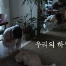하루 이미지