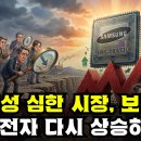 장중시황] 8/11 양시장 모두 변동성 속 보합 / 수급주체는 관망포지션 / 삼성전자 다시 올라오나? / 코스닥은 살짝 조정구간 진입 이미지