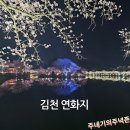 김천 벚꽃이 유명한 연화지 야경 후기
