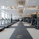 초이스바이반트 이미지