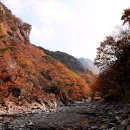 양산 천성2봉.. 만추의 성불암계곡... 이미지