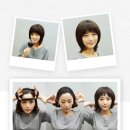 다모란 이미지