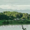 탄금대 이미지