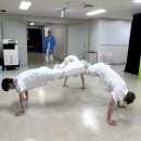 수Su