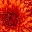 승리스포츠 - 성남시 분당구 판교역로10번길 6 | 승리스포츠