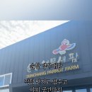 순창 앵무새팜 이미지