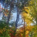 율석2리 마을회관 이미지