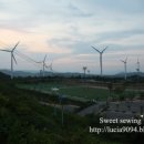 영덕목장 이미지