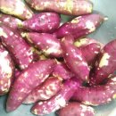 오주농장 이미지