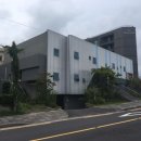 서귀동-19 이미지