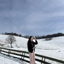 덕영목장 네이버블로그