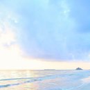 현대5차A 이미지