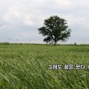 봄특집_발라드_그래도 꿈은 꾼다_작사 권오정_가수 핑크베리_작 편곡 수노_기획 영상편집 윤기영 이미지