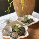 오디너리핏 이미지