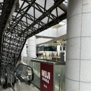서초식물원 | 식물원김밥 서초본점 내돈내산 포장 후기